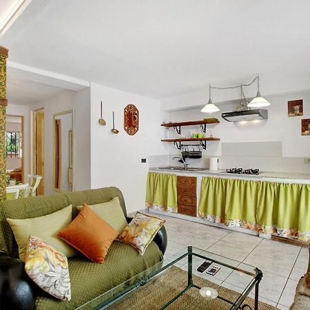 Apartamento Jardin Del Sol Tacoronte Kültér fotó