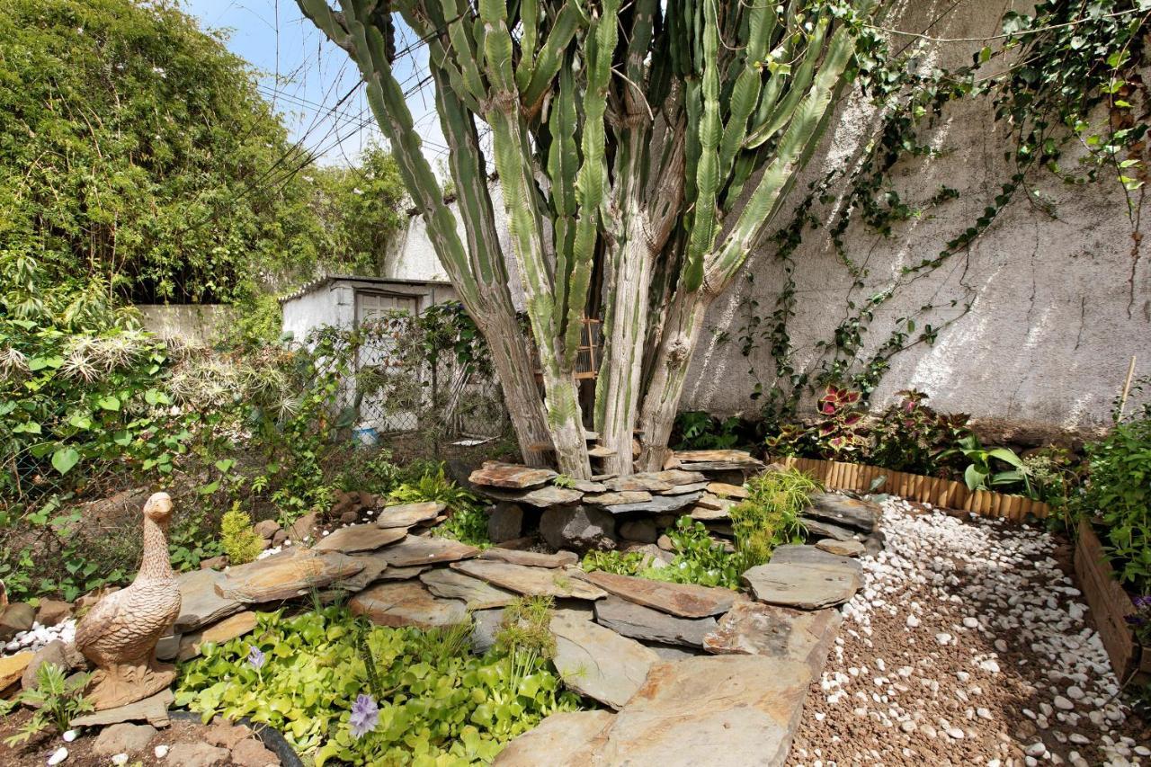 Apartamento Jardin Del Sol Tacoronte Kültér fotó
